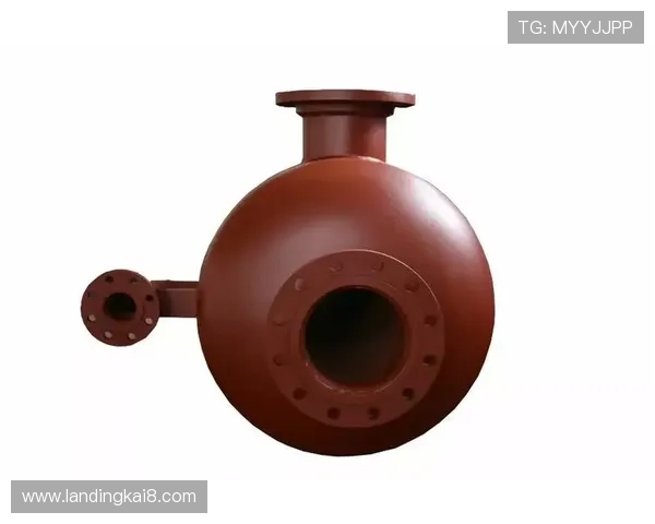 凯发国际官网首页入口：平台安全措施与用户隐私保护策略全面介绍