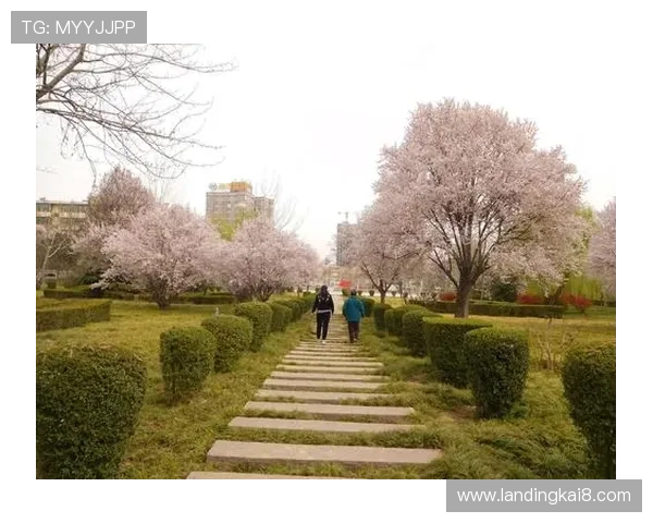 掌握凯发电游游戏的盈利技巧，让你在激烈竞争中稳占优势位置